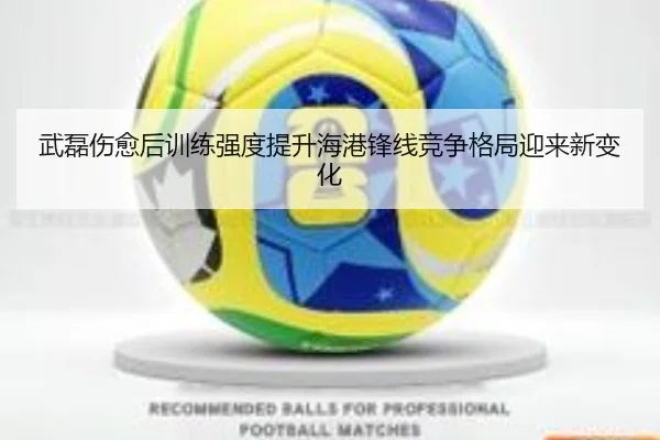 武磊伤愈后训练强度提升海港锋线竞争格局迎来新变化
